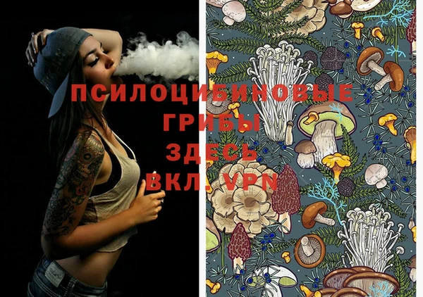 mdma Осинники