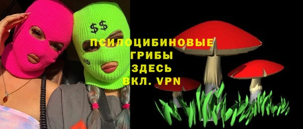 метадон Осташков