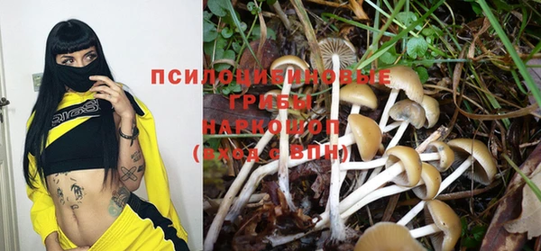 трава Алексин