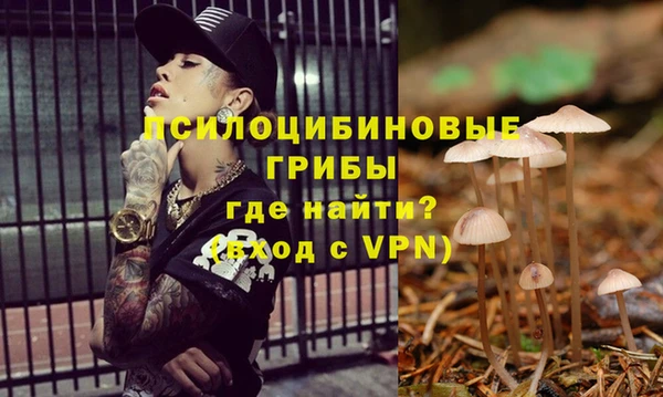 твердый Алзамай