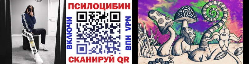 Галлюциногенные грибы MAGIC MUSHROOMS  МЕГА как войти  нарко площадка наркотические препараты  Новая Ладога 